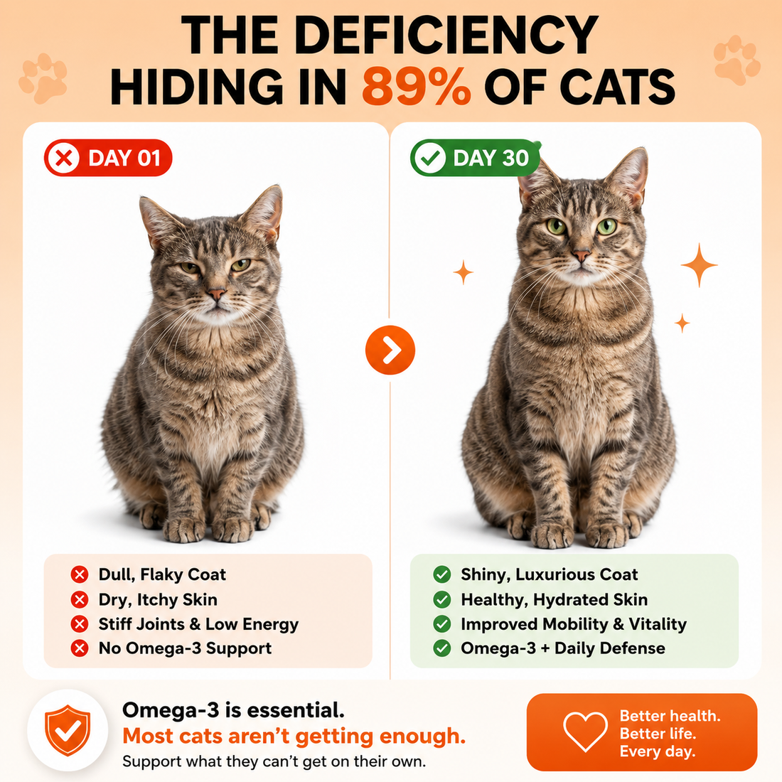 NovaraPets™ Omega-3 Supplement for Cats